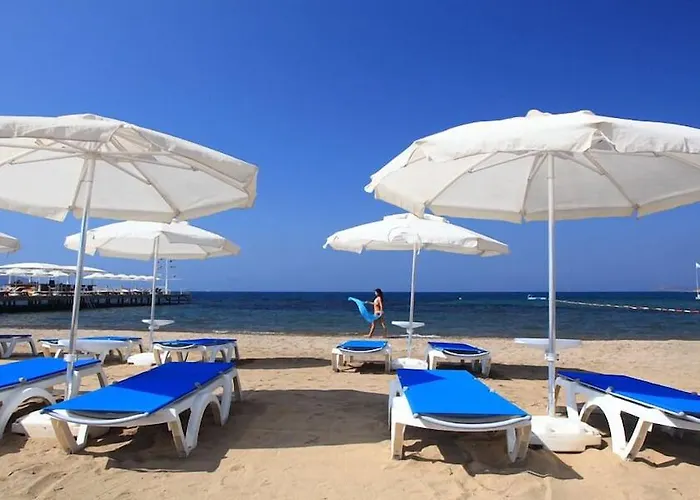 Hotel Sundance Turgutreis