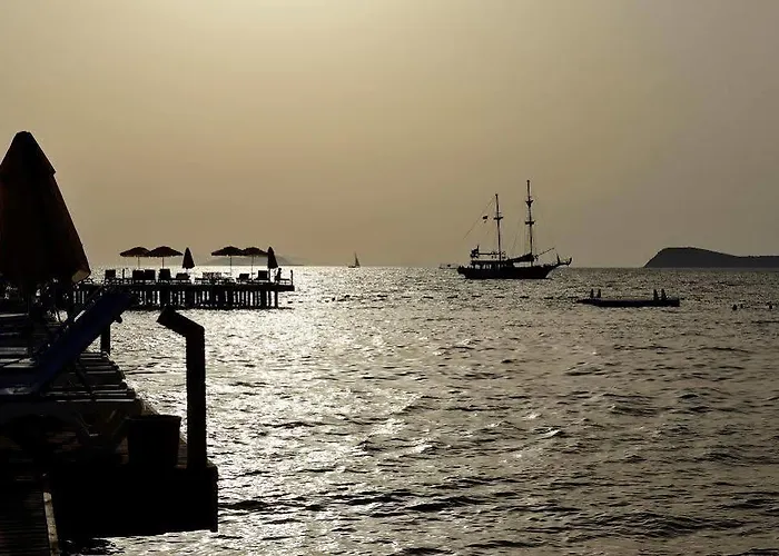 ホテル Sundance トゥルグトレイス